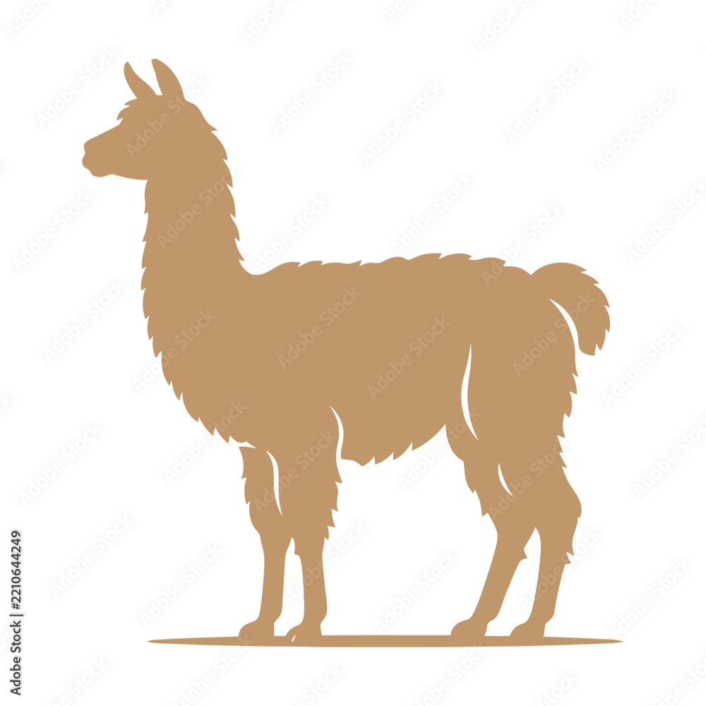 Obraz premium Simple brown llama animal illustration standing in profile view Vector