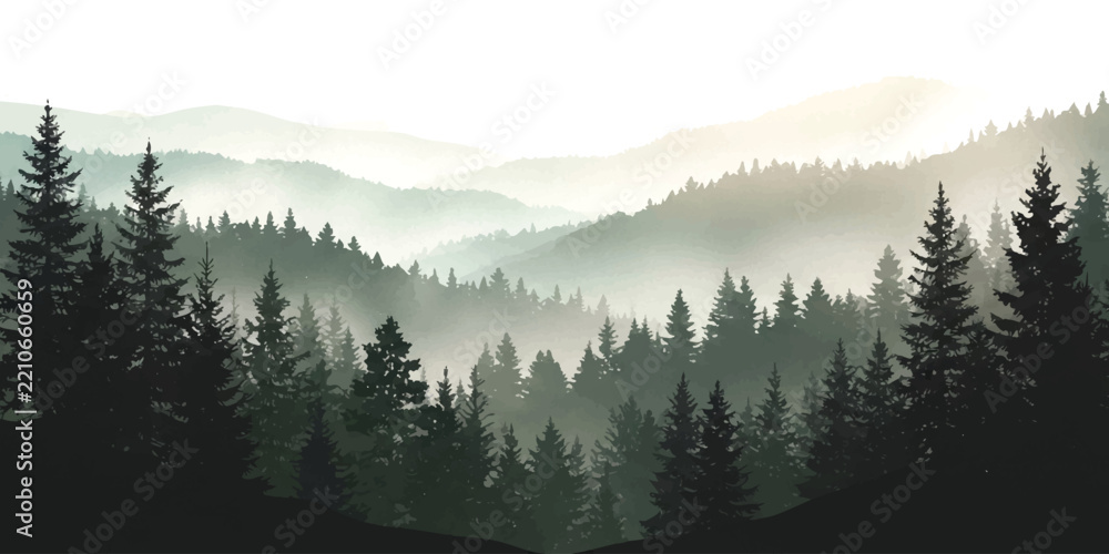 Naklejka premium Misty pine forest landscape with layers of mountains in the early morning fog