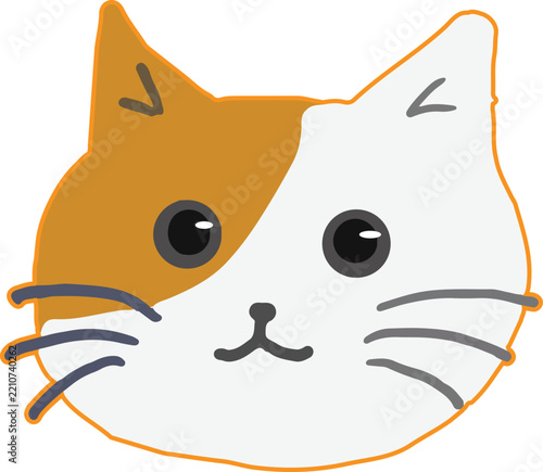 A hand-drawn, smiling white cat with orange stripes face; cartoon character illustration.