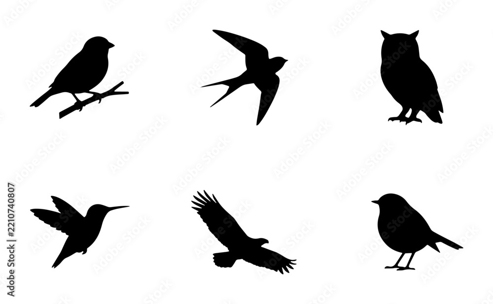 Fototapeta premium Bird silhouettes for logo or print