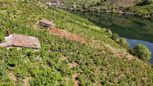 Terraced vineyards on steep hills of Ribeira Sacra, Spain