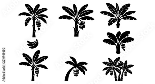 Banana tree silhouettes set with fruit bunches and bananas for tropical design