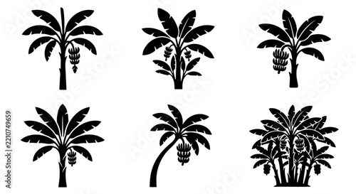 Banana tree silhouettes set with fruit bunches for tropical and travel themes