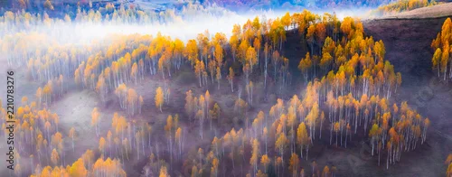 Panel kuchenny z motywem amazing autumn landscape with colorful trees