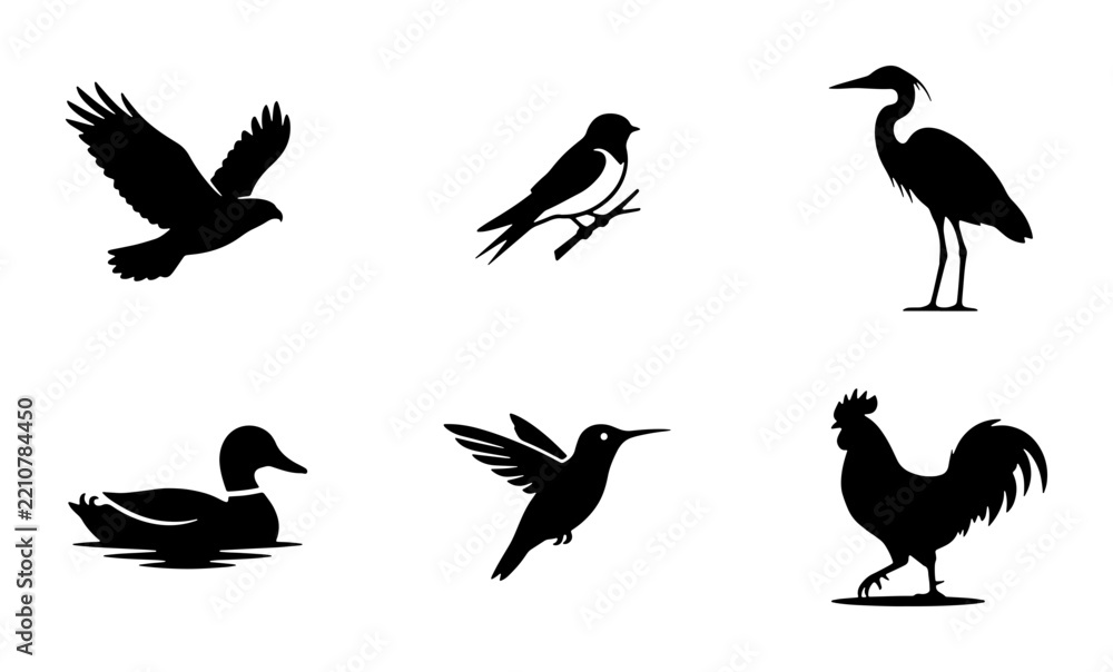 Fototapeta premium Bird silhouettes set with eagle, heron, duck, hummingbird and rooster for wildlife logos