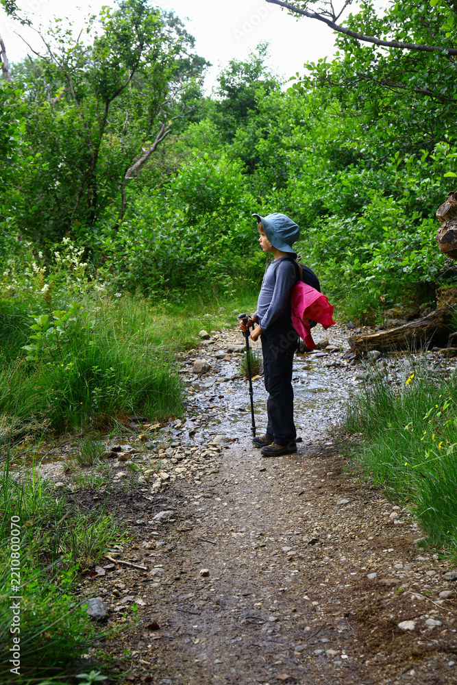 Fototapeta premium Child hiking through a shallow stream on a woodland trail with trekking poles in Scotland