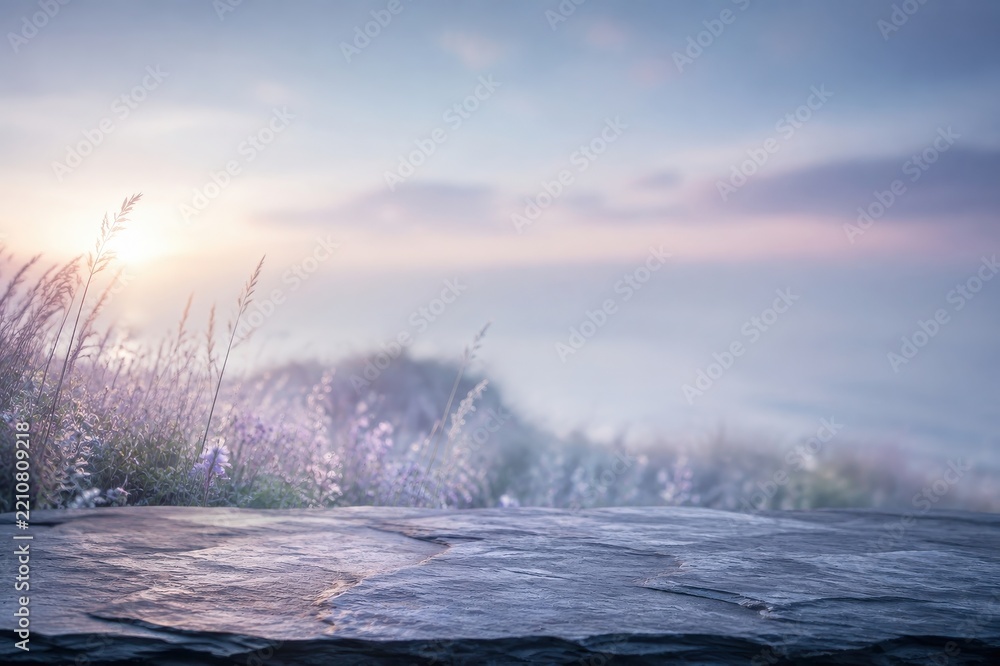 Obraz premium Dreamy sunrise over frosty meadow and weathered stone surface
