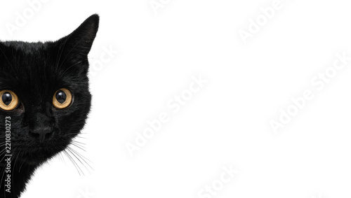Black cat face with golden eyes peeking from the side, isolated on transparent background