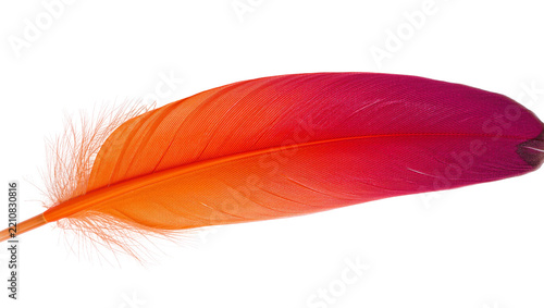 Vibrant gradient feather with orange to magenta hues, isolated on transparent background