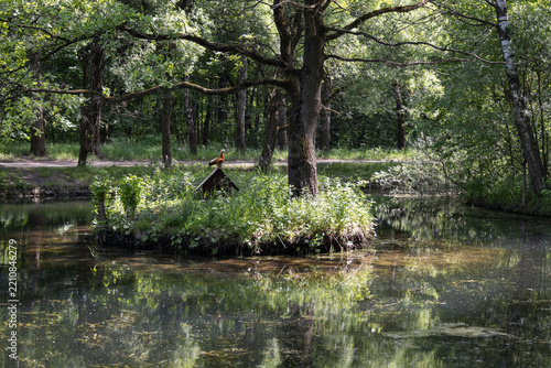 Mallard Duck Resting on a Wooden House on a Small Forest Pond Island