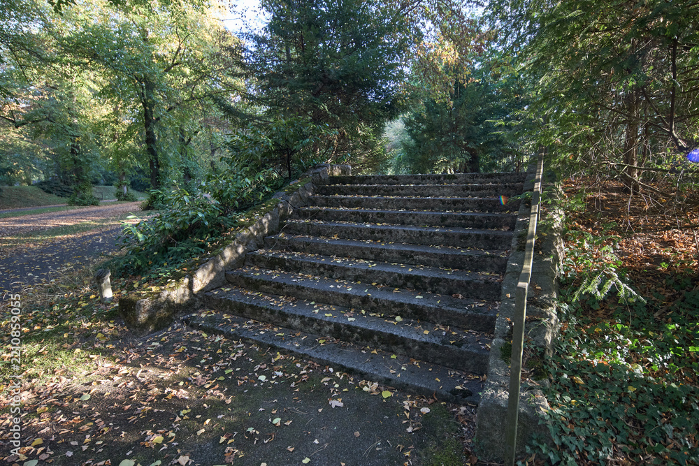 Obraz premium Old stone stairs leading into a lush forest park during a peaceful autumn afternoon in nature