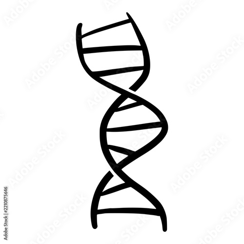 black spiral double helix dna hand drawn illustration