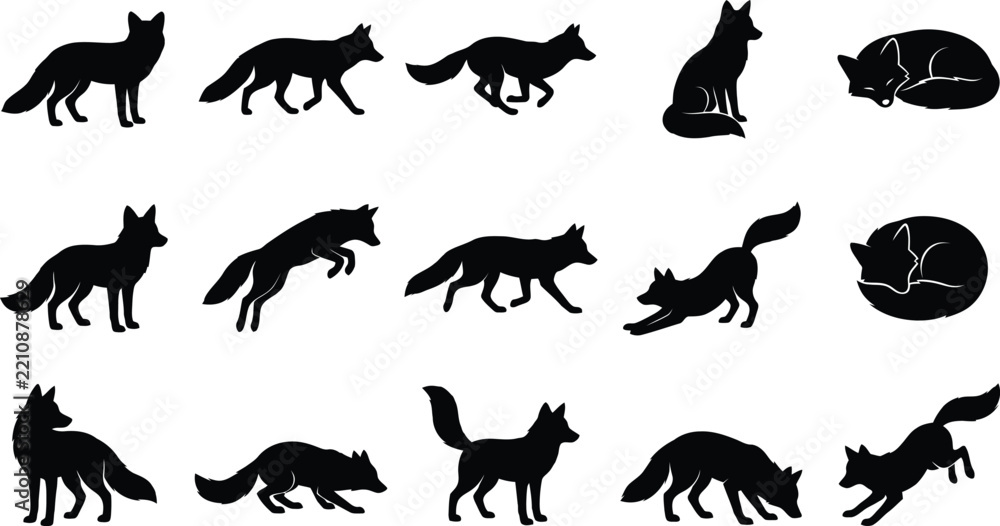 Fototapeta premium Collection of fifteen black fox silhouettes in various poses including walking, running, jumping, sitting, and sleeping on white background