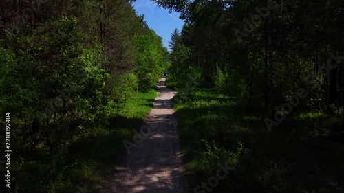 A return flight along a straight sandy road cutting through a dense forest on a sunny summer day. Pine forest, Novosibirsk, Russia.