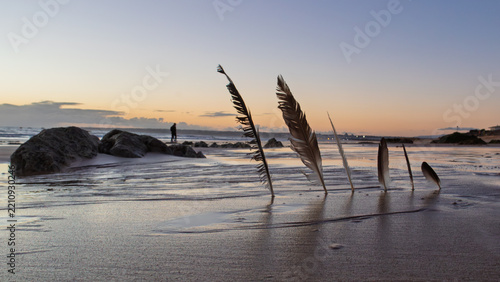 Fotografie Feathers, Praia da Gale, Albufeira, Algarve, Portugal