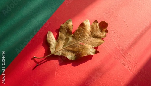 Dried Oak Leaf on Red and Green Backdrop with Soft Shadows