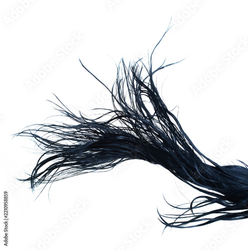 Long straight Wig hair style fly wind blow explosion. Black woman wig wave hair float in mid air. Straight black curl wig hair wind blow cloud throw. White background isolated