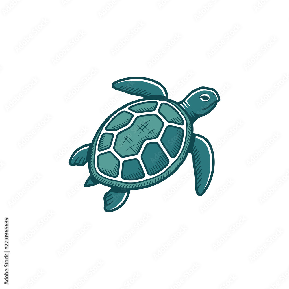 Fototapeta premium Sea Turtle Vector Illustration, Marine Turtle Logo Design for Ocean Wildlife, Marine Conservation, Nature and Environmental Branding