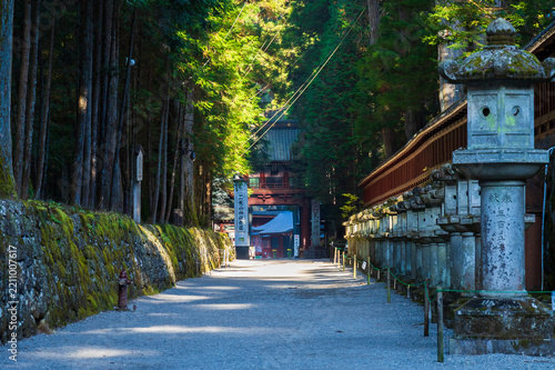 日本の風景・秋　栃木　世界遺産　日光東照宮　上新道