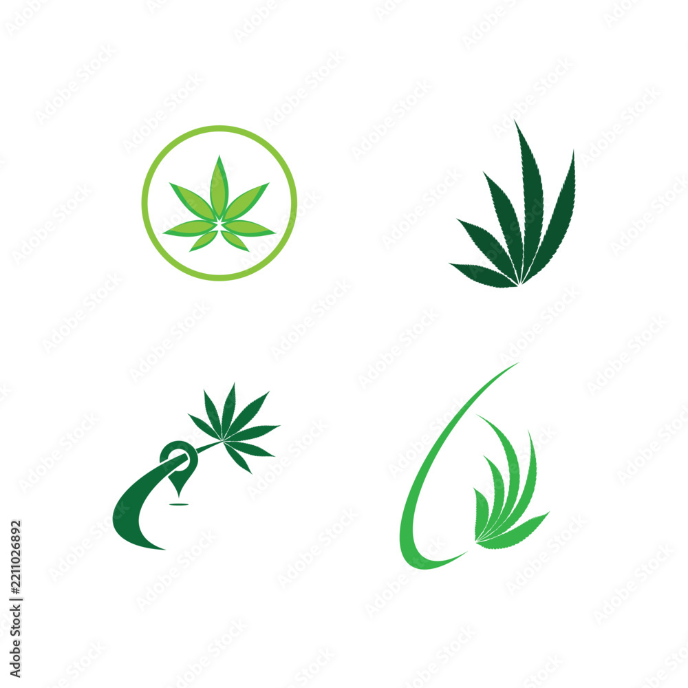 Obraz premium Cannabis leaf logo vector illustration design