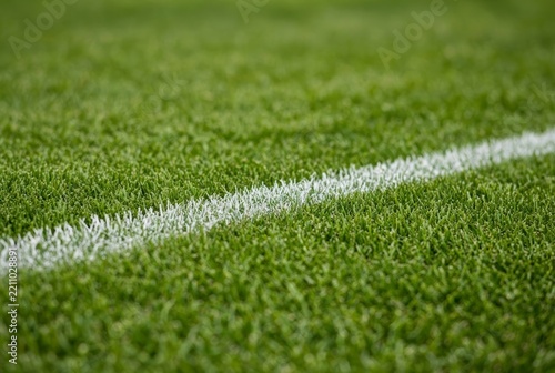 Detailed grass field scene with nature and lawn elements
