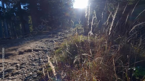 Low sun shines across a rocky uphill path during a Tatra mountain hike