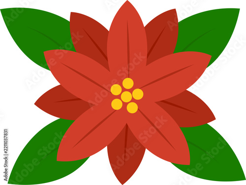 Poinsettia