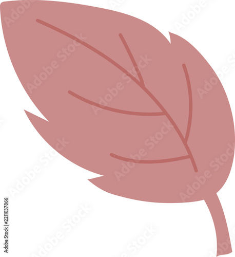 Autumn leaves