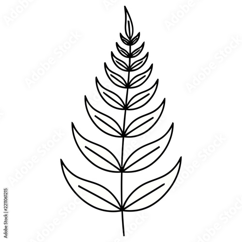 Simple line drawing of a fern frond
