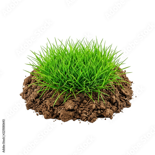Vibrant Green Grass Patch Isolated Transparent Background