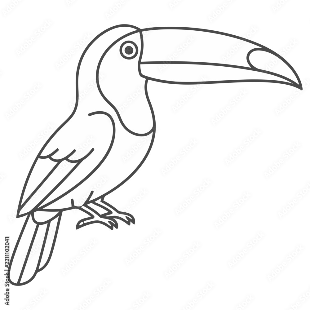 Obraz premium Toucan outline illustration