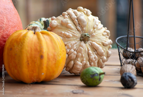Rustic autumn harvest with pumpkins, little squash and decorative coloquinte ...
