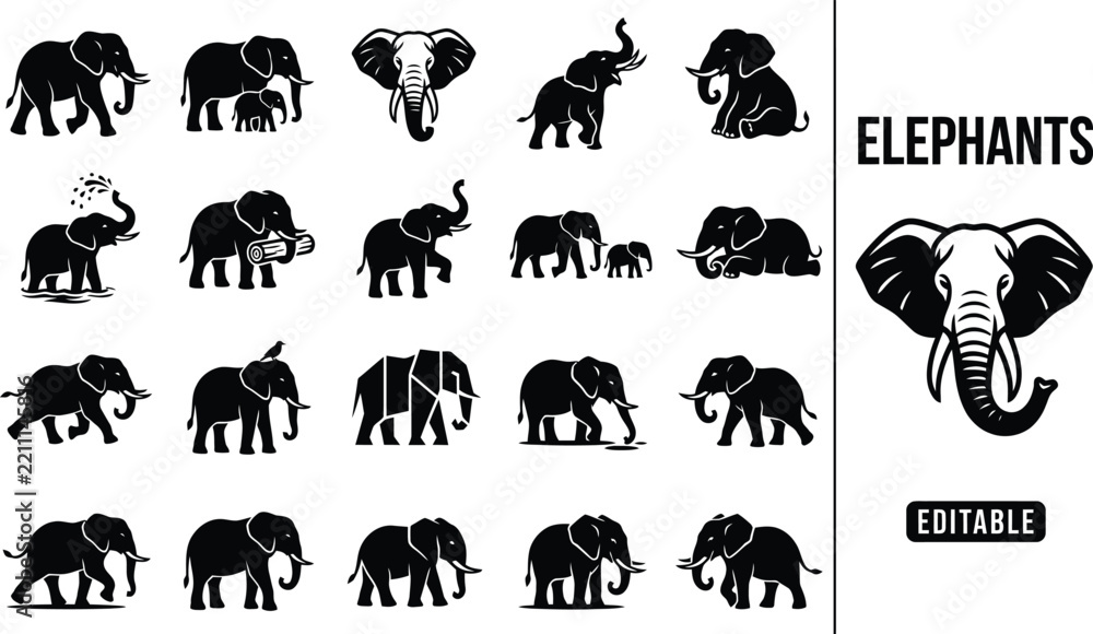 Obraz premium Comprehensive set of black and white elephant featuring diverse poses and silhouettes of elephants and calves in style