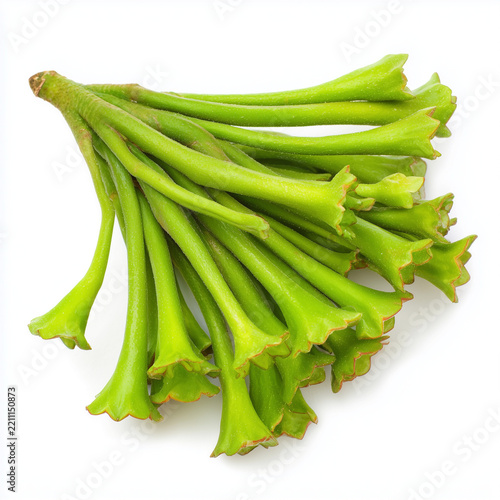 fresh Indian trumpet tree shoots on white background