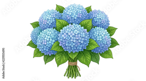 Bouquet of blue hydrangeas on transparent background