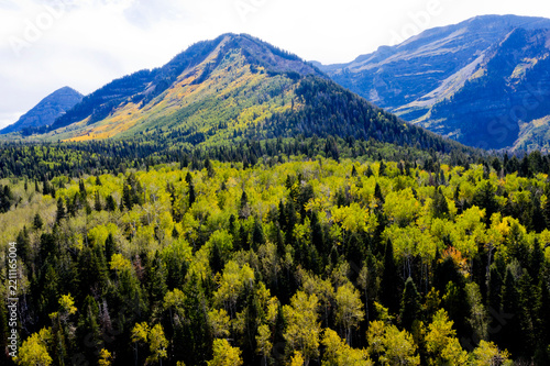 mountain landscape with yellow trees, Fall season on the mountains, a Utah Fall, several yellow Fall trees