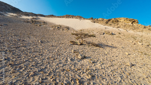 Rocky sand dune under clear blue sky. Socotra, Yemen.