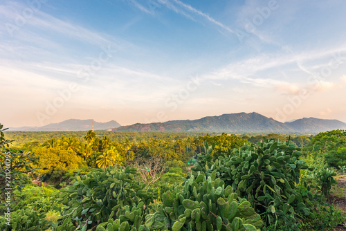 View from Dambulla rock viewpoint