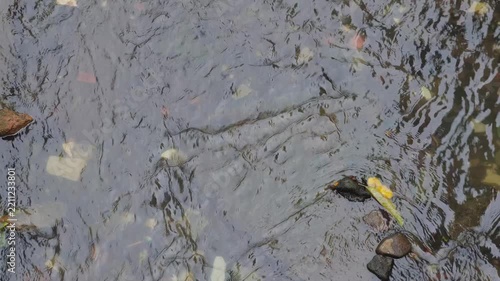 Close-up of a shallow stream bed with flowing water and pebbles.