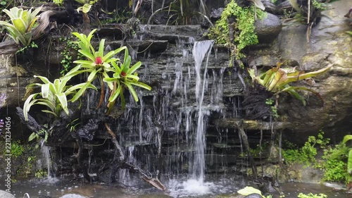Lush green plants surround a cascading waterfall in a natural setting.