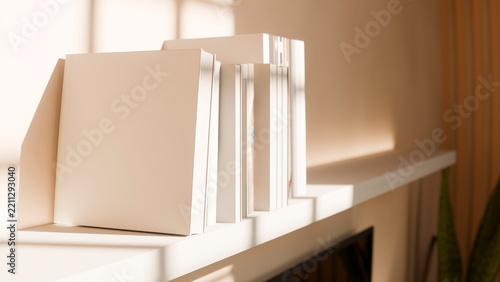 Books neatly arranged on white shelf with sunlight in modern interior