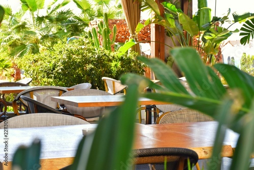Empty tables and chairs on a beautiful summer café terrace featuring green tropical plants and warm sunlight.