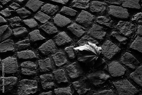 leaf foll on cobblestones
