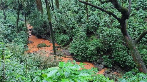 Wide view of muddy river winding through dense lush green rainforest canopy