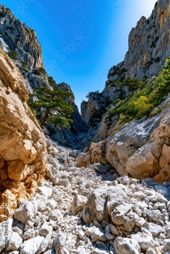 Limestone mountain gorge with rugged terrain and sharp rock textures under bright sunlight for outdoor adventure and geology branding