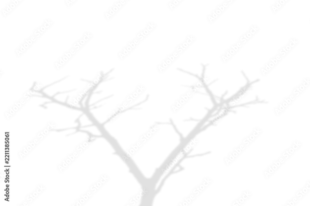 Fototapeta premium Leafless tree branches shadow overlay isolated on transparent background