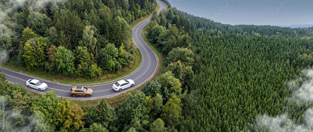 Fototapeta premium High Angle Aerial View of Modern Cars Driving on a Winding Scenic Road Through a Dense Green Forest with Atmospheric Mist, Perfect for Travel and Automotive Industry Concepts