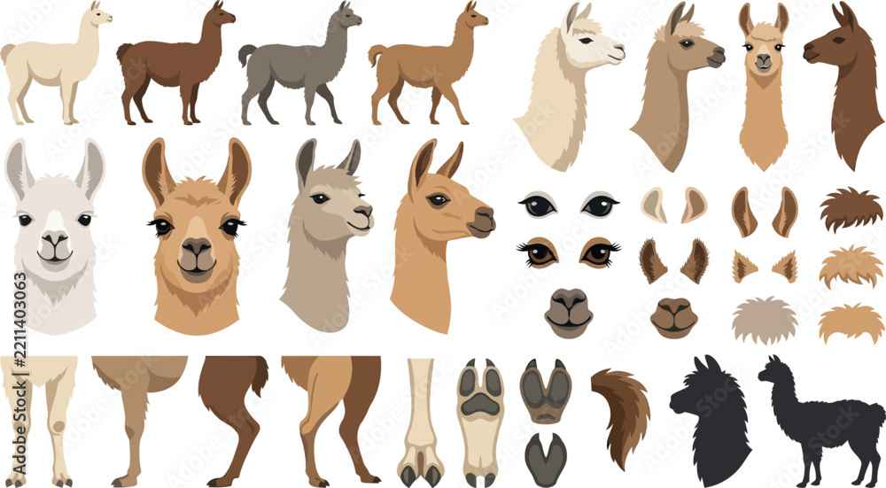 Obraz premium Llama animal elements collection in flat design style for graphic design