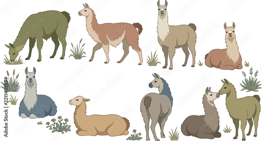 Obraz premium Llamas and alpacas in various poses on a white background vector illustration with natural elements
