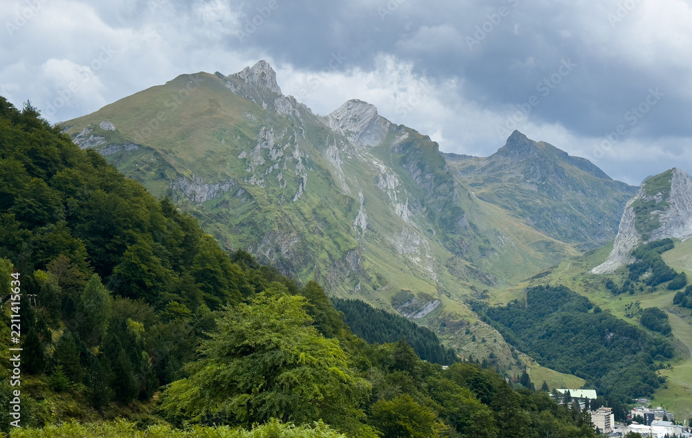Obraz premium high angle shot of the trees on the grass-covered meadow with the mountains in the background